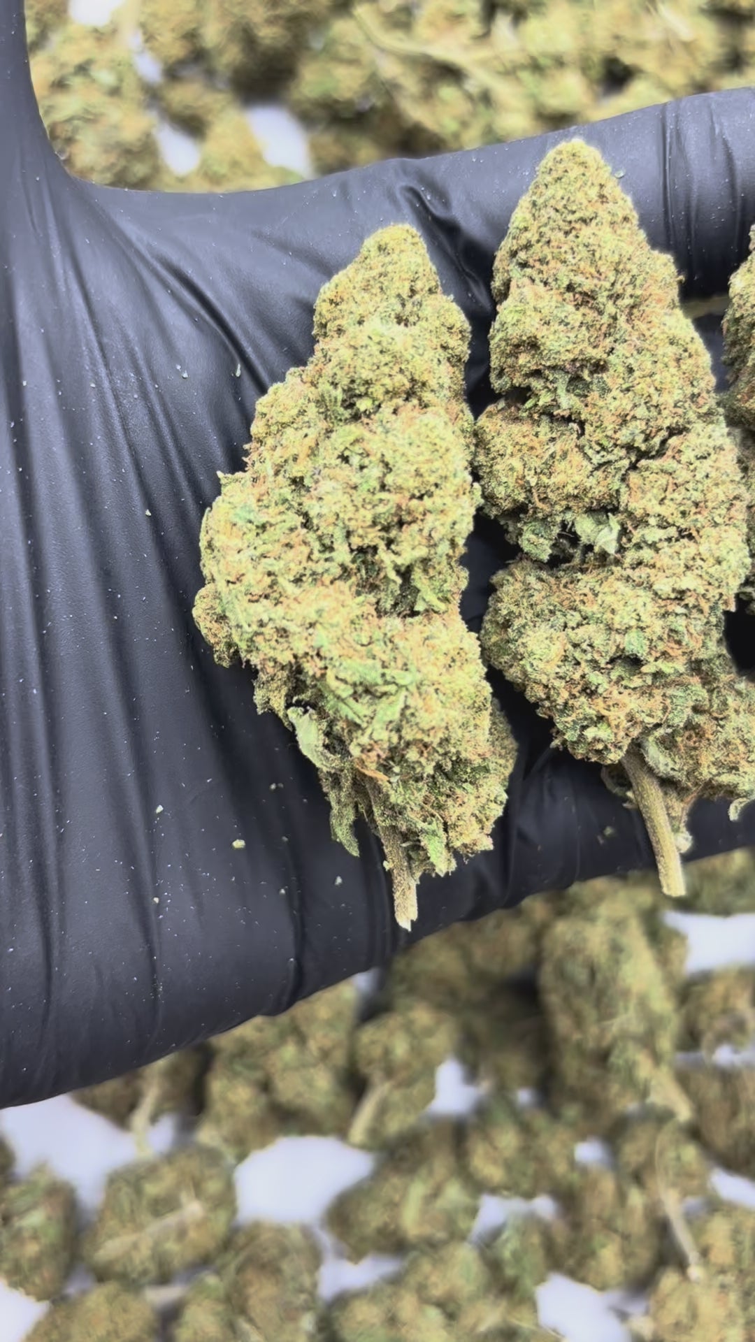 Cheese (2g).